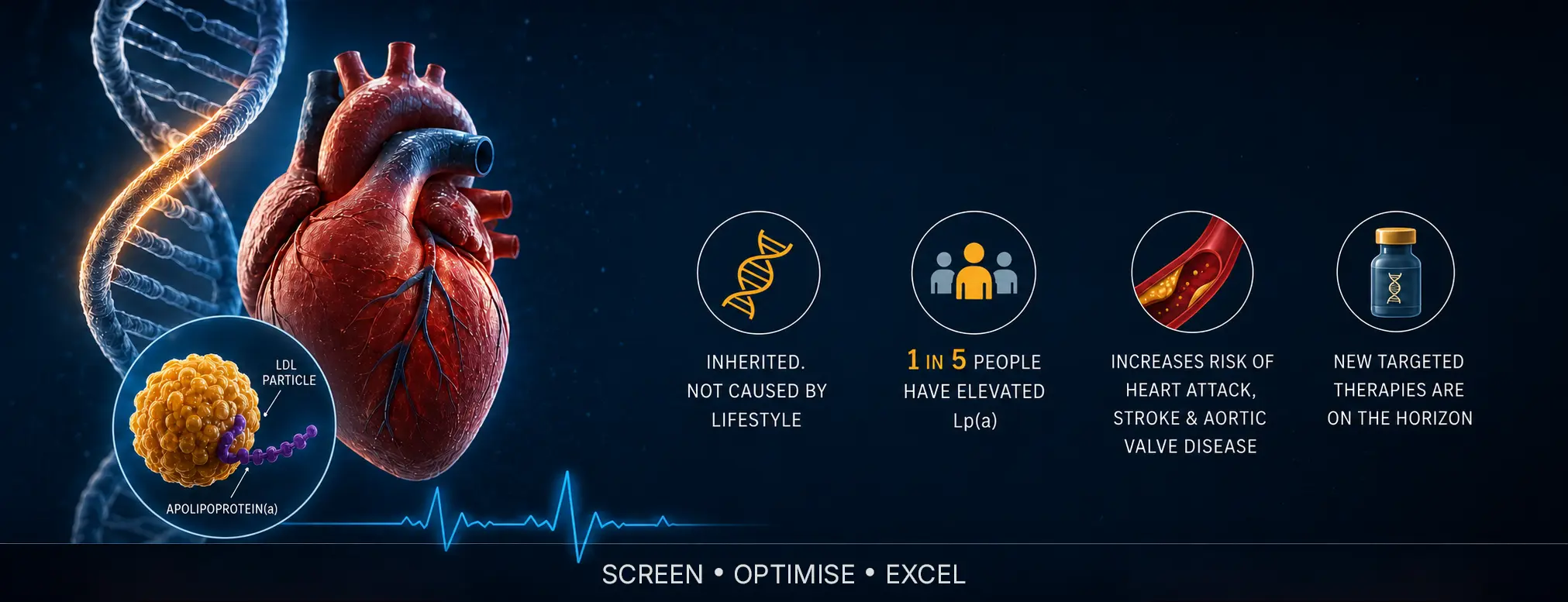 Lp(a) - The Genetic Heart Risk You Cannot Exercise Away